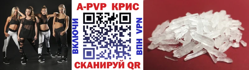 A-PVP СК КРИС  Бородино 