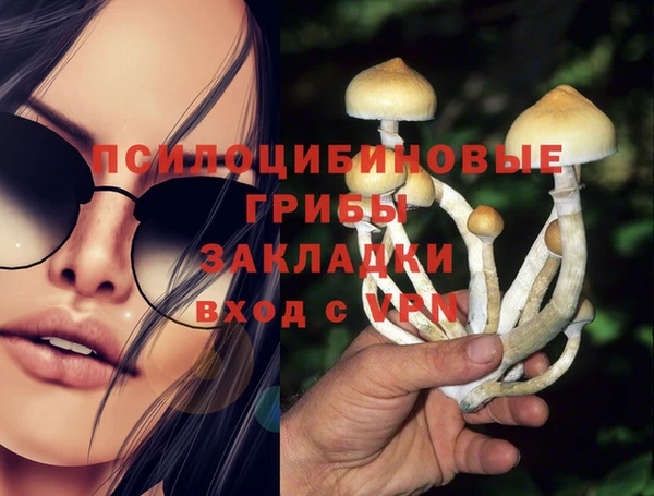 2c-b Белокуриха