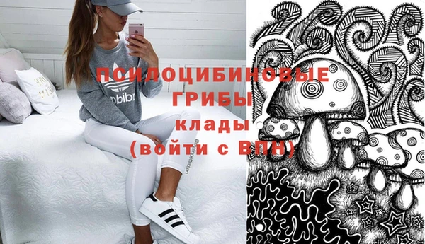mdpv Беломорск