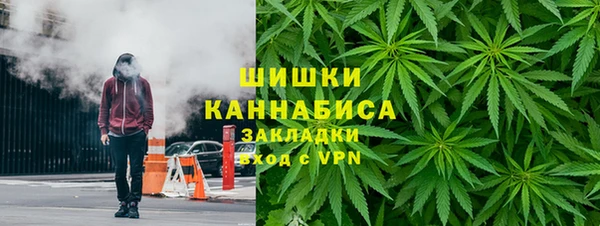 2c-b Белокуриха