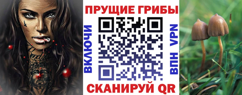 Галлюциногенные грибы GOLDEN TEACHER  Бородино 